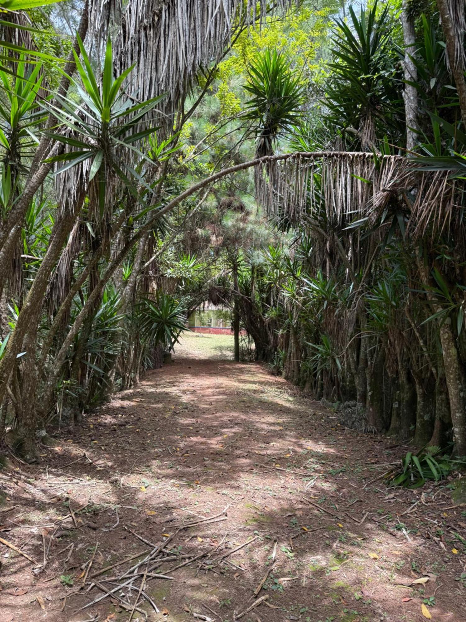 Casarao Verde São Luís do Paraitinga Exterior foto